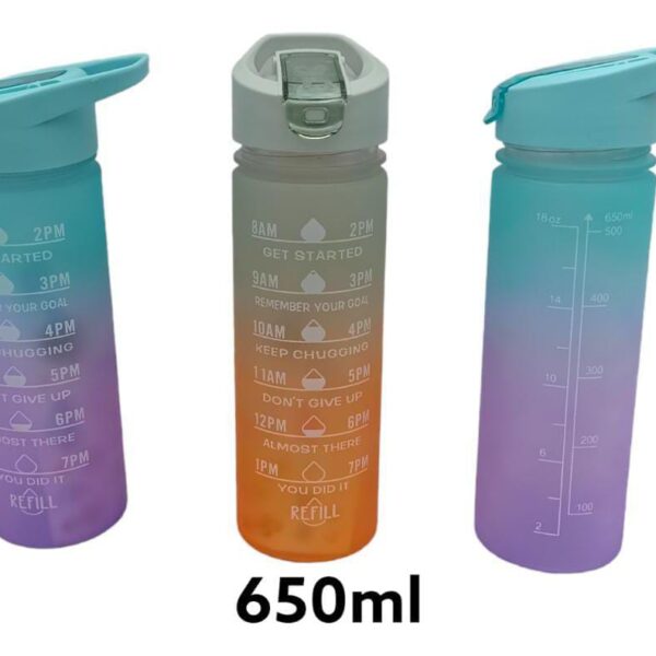 EN1446 TERMO PLASTICO 650 ML