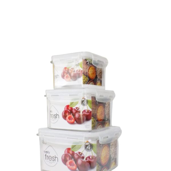 EN1612/2529-3 RECIPIENTE PLASTICO SET X3 PCS