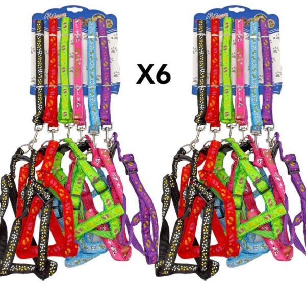 COLLAR PARA MASCOTA SET X 6 PCS EN1477